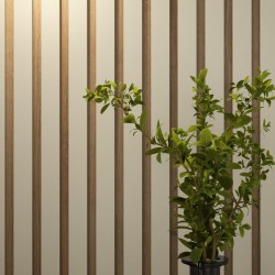 Pannel Home | Muebles Requejo